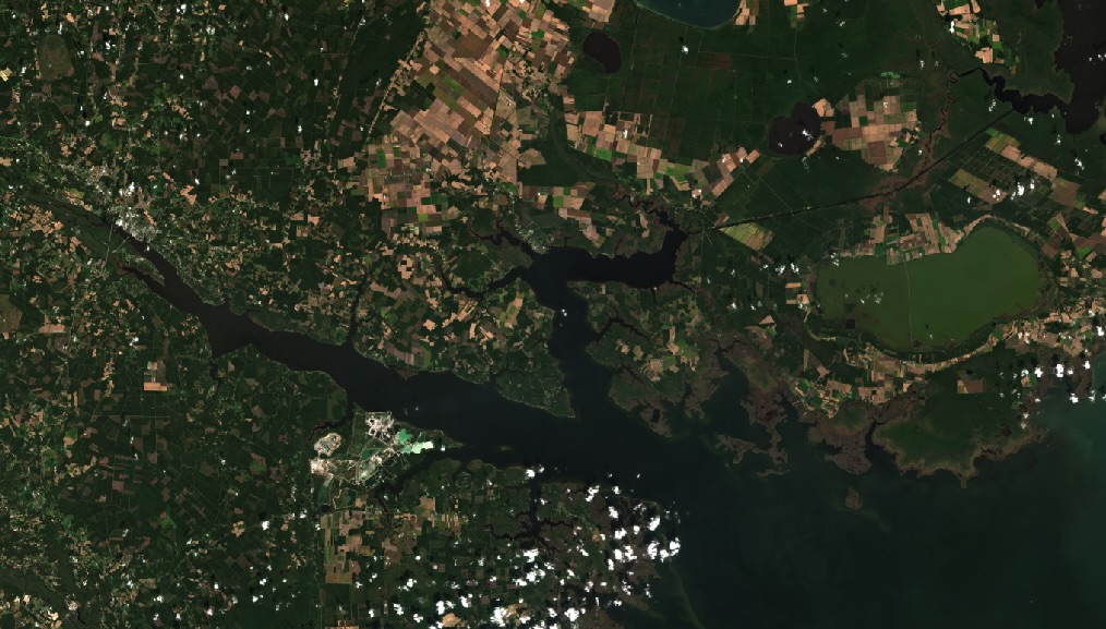 Blooms as seen from Sentinel-2