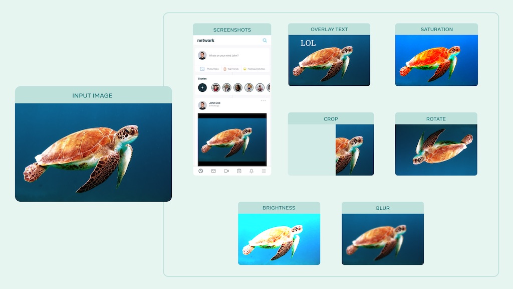 Examples of data augmentations that AugLy can apply to an image.